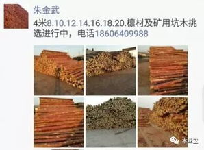 精品木材銷售信息 原木與板材的一站式解決方案